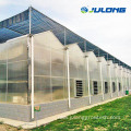 Agricultural polycarbonate greenhouse with hydroponic System